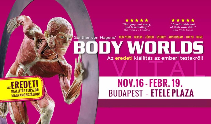 BODY WORLDS kiállítás 2023-ban az Etele Plázában! Jegyvásárlás itt!